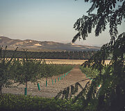 Jardines de El Cortijuelo