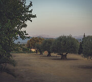 Jardines de El Cortijuelo