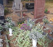 F. M. Cataluccio aplankė Semeni&scaron;kių kaimo kapinaites (Biržų raj.) kur palaidotas J. Mekas