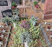 F. M. Cataluccio aplankė Semeni&scaron;kių kaimo kapinaites (Biržų raj.) kur palaidotas J. Mekas