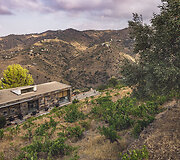Bodega Bentomiz 