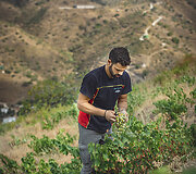 Bodega Bentomiz 