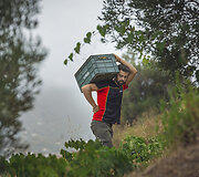 Bodega Bentomiz 