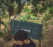 Bodega Bentomiz 