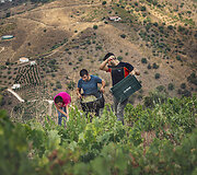 Bodega Bentomiz 