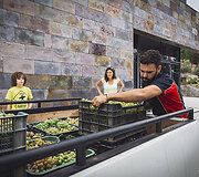 Bodega Bentomiz 
