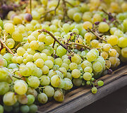 Bodega Bentomiz 