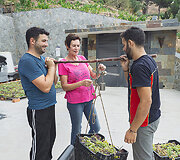 Bodega Bentomiz 