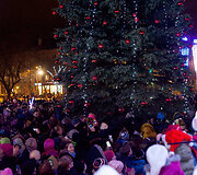 Kalėdų eglė &Scaron;iauliuose 2015 