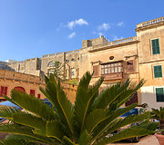 Mdina - pagrindinė auk&scaron;tės augalai