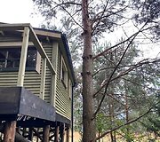 Namelis medyje Varėnos mi&scaron;kuose&nbsp;