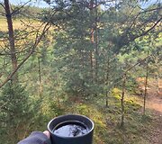 Namelis medyje Varėnos mi&scaron;kuose&nbsp;
