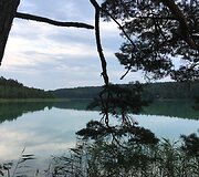 Žaliasis pažintinis pėsčiųjų takas