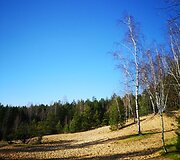 Bartku&scaron;kio kopa