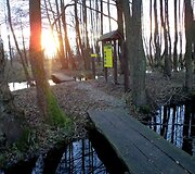 Takas pamario juodalksnynu