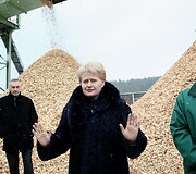I&scaron; biokuro pigiai &scaron;ilumą gaminantys, bet brangiai ją parduodantys nepriklausomi gamintojai turėtų būti dėkingi prezidentei D.Grybauskaitei.