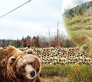 &bdquo;Zootopija&ldquo; Danijoje