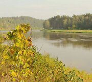 Ruduo Bir&scaron;tone