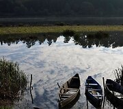 Ruduo Bir&scaron;tone