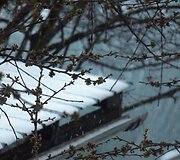 Kaune snigo ir žaibavo.  2015 m. balandžio 17 d. 