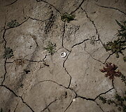 Sausra Kalifornijoje