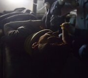 Rishi Khanalo gelbėjimo operacija