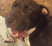 Caitlyn 