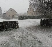 Sniegas Lietuvoje