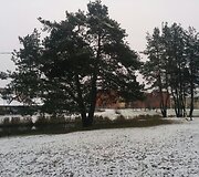 Pirmasis &scaron;io žiemos sniegas Lietuvoje