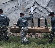 Operacija &bdquo;Tigrų &scaron;ventykloje&ldquo;
