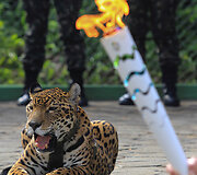 Jaguarė Juma