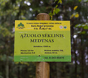 Ruduo Suvalkijoje