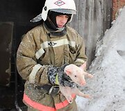 Rusijoje i&scaron; gaisro gelbėjami par&scaron;iukai