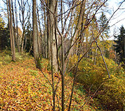 Grabijolų pažintinis takas