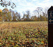 Grabijolų pažintinis takas
