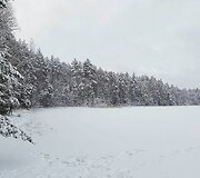 TIKRAS žygis