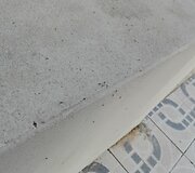 Klaikus vie&scaron;butis Tenerifėje