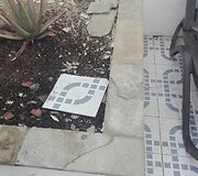 Klaikus vie&scaron;butis Tenerifėje