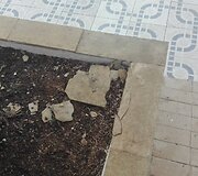 Klaikus vie&scaron;butis Tenerifėje