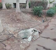 Klaikus vie&scaron;butis Tenerifėje