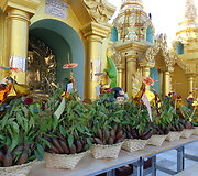 Shwedagon pagoda