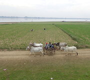 Amarapura