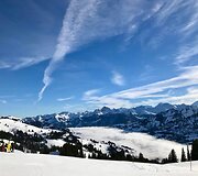  Alpės