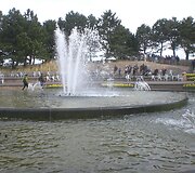 Keukenhofas