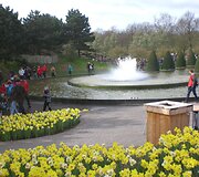 Keukenhofas