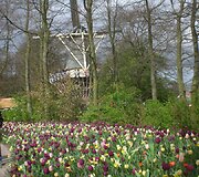 Keukenhofas