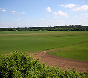 Sūri&scaron;kiai 
