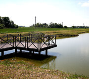 Sūri&scaron;kiai 