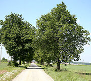 Sūri&scaron;kiai 
