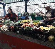 Kelionė Žaliajame ky&scaron;ulyje